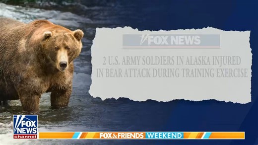 WOW: Two soldiers from the U.S. Army's 11th Airborne Division are recovering from injuries after being attacked by a brown bear during a training exercise in Anchorage, Alaska.The incident occurred on Thursday, while the soldiers were participating in a land navigation training event in the remote Arctic Valley area of Joint Base Elmendorf-Richardson (JBER). Anchorage Daily News: “The timing of the encounter is unclear, though it appeared to have been a defensive attack from a bear that had rece