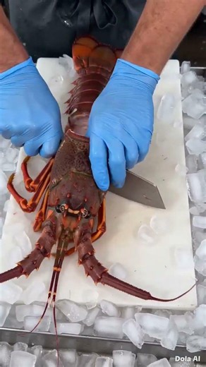Inside a Lobster: Amazing Cutting & Cleaning Process
