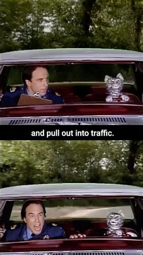 Bad Driver