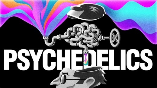 Your Brain Is Hallucinating Right Now — Psychedelics Just Make It Obvious | Graham Wilson