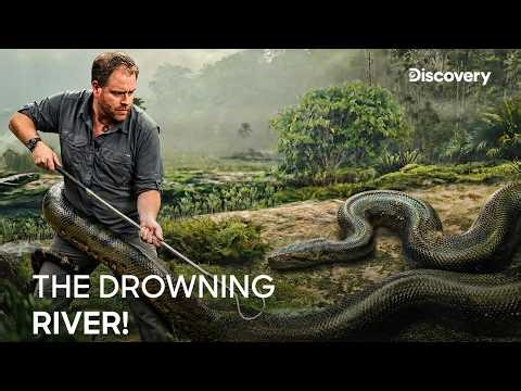 Yacumama: The Legend That Breathes Below! | Expedition X S3 E11 | Discovery Channel India