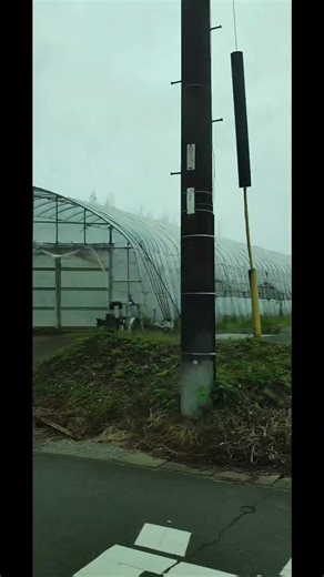 Japan’s Agriculture is Next Level 😳 | Future Farming