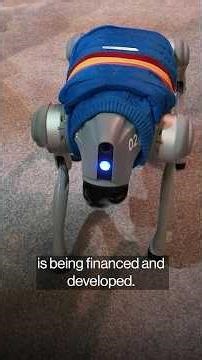 Wall Street isn’t asking most S&P 500 companies about AI