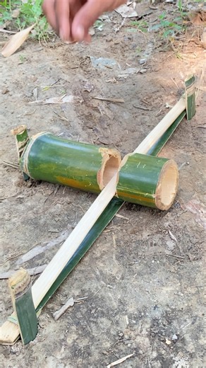 Setting traps in the forest #survival