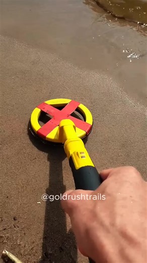 Exciting Metal Detecting Finds at the Beach