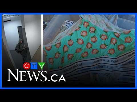 $15K worth of underwear stolen in Montreal: suspect caught on camera