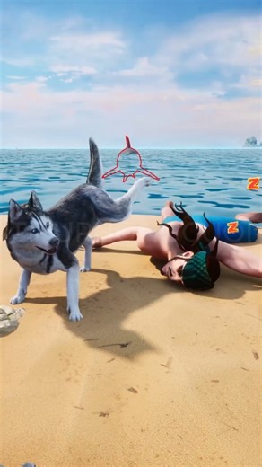 🍀 Top Funny Games : Sea Of Conquest 🐬 #seaofconquest #topfunnygames