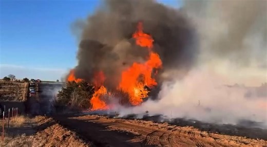 613K views · 4.8K reactions | 🔥ANATOMY OF A FIRESTORM🔥 A small cluster of cedar trees can, under fire weather conditions, rapidly amplify an existing small grass fire. Trees explode in flame, launch flaming embers literally 100s of feet in the air and then, by the thousand’s, get carried rapidly down wind, seeding and dramatically amplifying the fire. This video, by the Hydro Fire Department shows exactly how it happens. Firestorms this past Tuesday in NW Oklahoma were traveling at times at a 