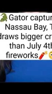 Gator capture in Nassau Bay draws bigger crowd than July 4 fireworks