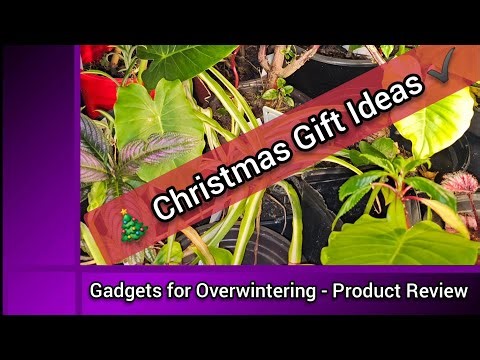 Gadgets for Overwintering - Product Reviews. Christmas Gift Ideas.