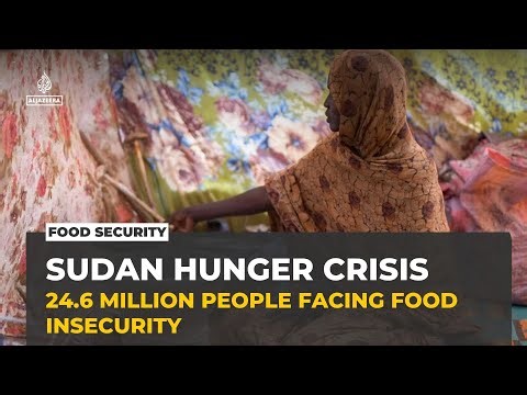 Sudan faces acute food crisis as war disrupts aid and access