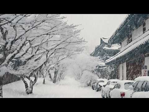 Snowstorm, heavy snowstorm on the street | The sound of wind and falling snow helps me sleep well