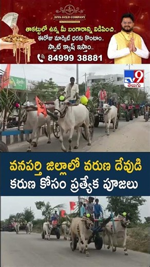 వనపర్తి జిల్లాలో వరుణ దేవుడి కరుణ కోసం ప్రత్యేక పూజలు - TV9