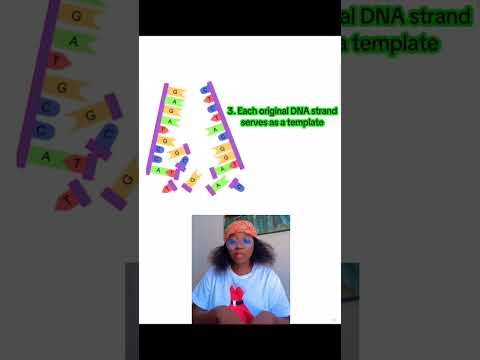 Grade 12 Life Science - DNA Replication
