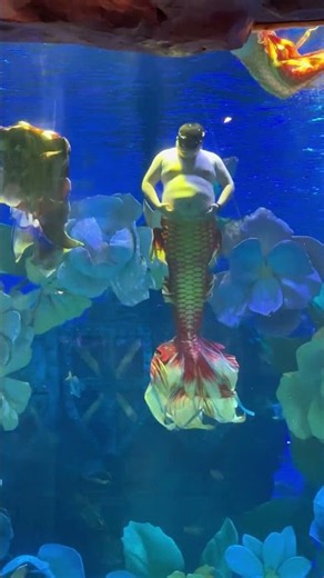 I found a real-life Merman in China 🇨🇳 #travel #merman #aquarium