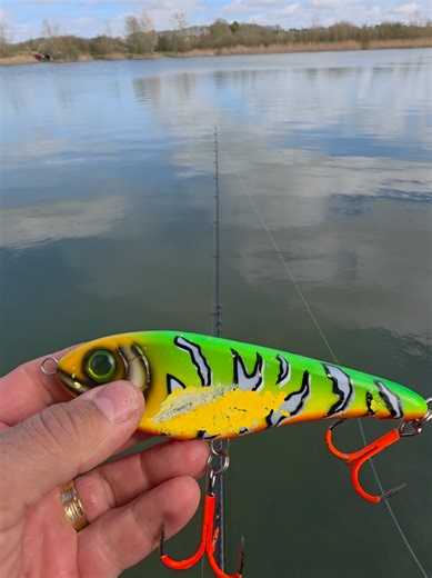 I've caught the biggest fish from this lake 😲💪💪💪 #fyp #fishing #fishinglife @Big Fish articole de pescuit