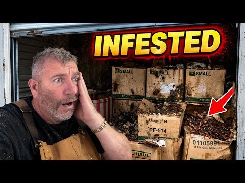 You Won’t Believe What Was Hiding in the Back Corner