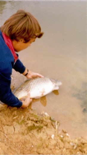 The carp that led to 40 years of carp fishing! #carp #fishing #carpfishing #podcast #youtube