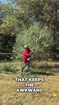 Greenworks Optimus The BEST Trimmer For Your Yard!