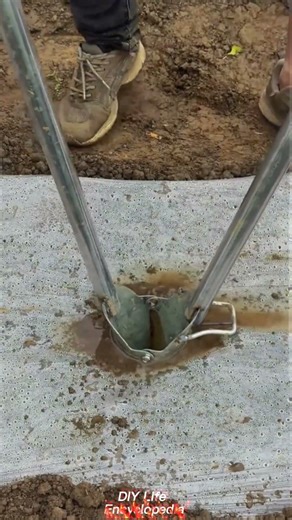 Mulch Film Punching & Transplanting Tool, Efficient Tool for Better Work Efficiency #shorts