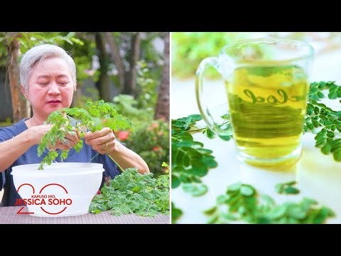 Malunggay vs. Cancer | Kapuso Mo, Jessica Soho