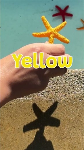 YOU'RE A (Rainbow) Star! 💫 Emmie's Sea Starfish Beach Adventure #kids #shorts