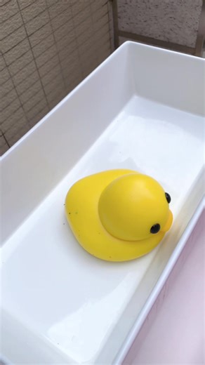 Clean my fufusquishy#asmr | squishy toys