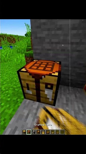 Minecraft Starter Base