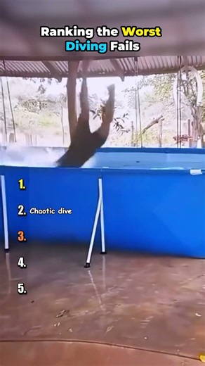 Ranking the Worst Diving Fails