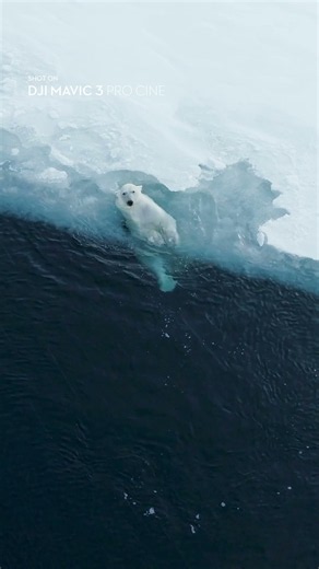 It Found the Ice Hole | DJI Mavic 3 Pro Cine