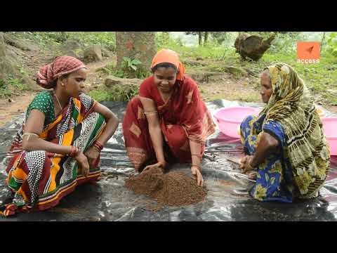 SOIL SAMPLE COLECTION