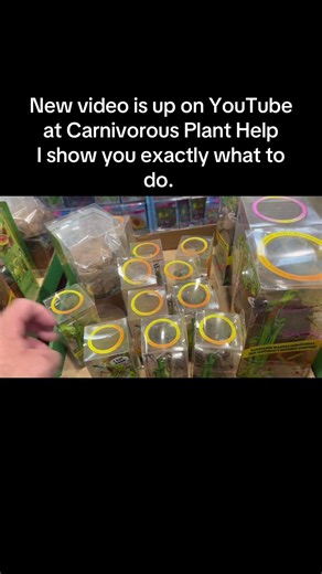 Death Cubes! How To Get Plants Cheap And Save Them From Death!