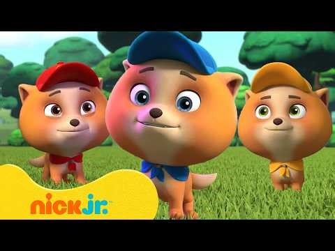 PAW Patrol JUNIOR Patrollers to the Rescue! w/ Nano, Mini, and Tot | Nick Jr.