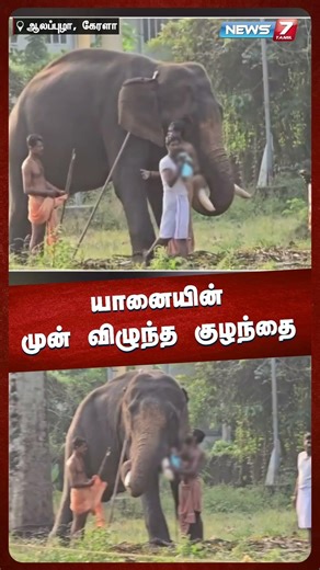 யானையின் முன் விழுந்த குழந்தை |@news7tamil