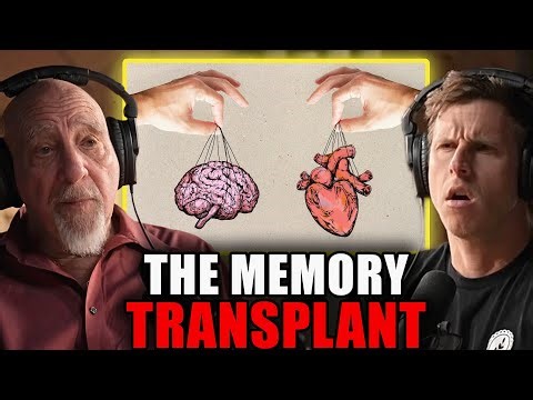 Anesthesiologist Reveals Where Memory is ACTUALLY Stored (It Isn't the Brain) | Dr. Stuart Hameroff