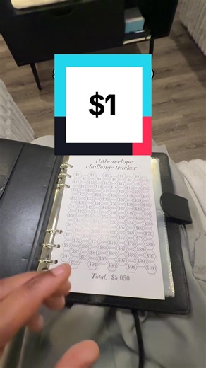 How to Save $5000 in 100 Days: Money Saving Tips