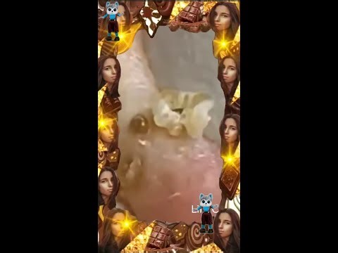 Blackheads Removal | Acne Treatment and Very Satisfying Satisfying Pimple pop #blackheads