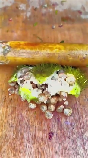 Smart Gorgon Fruit Nuts Extraction Process