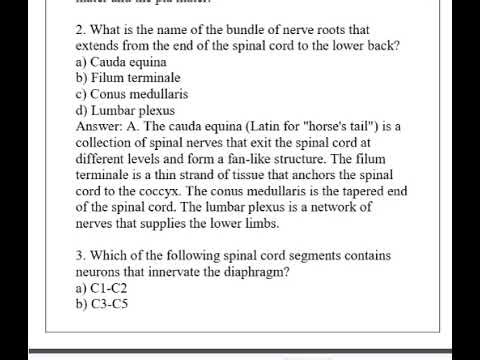 HUMAN NEUROANATOMY 3 Modules PRACTICE QUIZZES Q & A 2026 (Complete And Verified Study material)