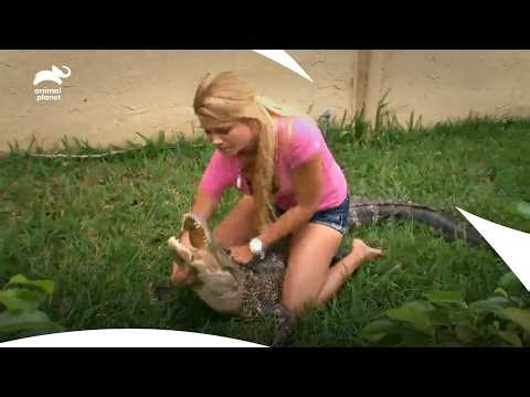 The Craziest Alligator Catches With Unexpected Endings😱| Gator Boys S2 & S3 | Animal Planet India