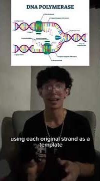 DNA REPLICATION EXPLAINED BY A NOTABLE SCHOLAR #biology #dna #science #meaning #genetics #rna