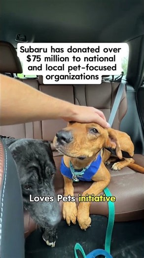 Eric & Joey Take Two Shelter Dogs For Fresh Air and a Run for National Make a Dog's Day