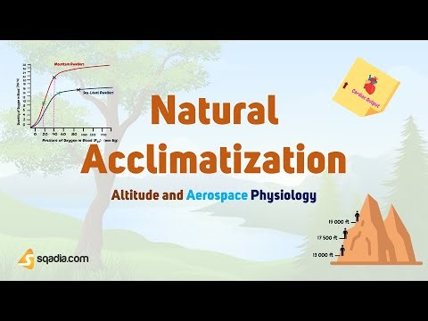 Altitude and Aerospace Physiology | Natural Acclimatizaiton
