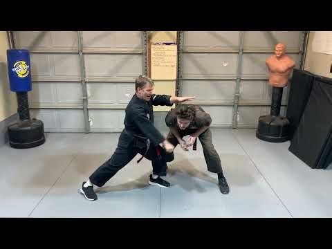Kenpo: Defensive Cross | Jamie Seabrook