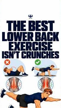 THE BEST CORE EXERCISE FOR YOUR LOWER BACK ISN'T CRUNCHES 🐦🐕