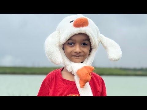 What Is a Section? 🤔 | Easy Explanation by Kid