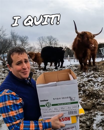 Balancing It All Is Impossible, Here’s My Decision | Gold Shaw Farm