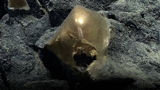 ‘Golden Orb’ Found on Seafloor Mystified Scientists. 2 Years Later, They Learn Mass Belonged to Giant Underwater Creature