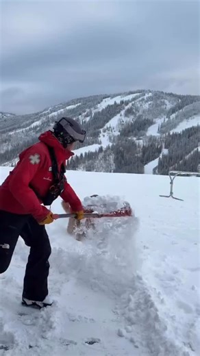 Well someone is excited about the new snow 😍 @mtn_alder_dog jumping for joy at @steamboatresort 🎥: @steamboatresort #skiing #ski #skiers | SKI Magazine