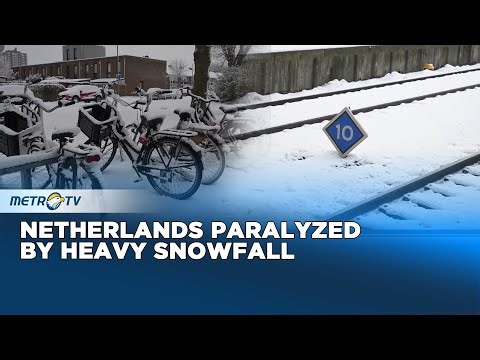 Heavy Snow Paralyzes Netherlands Travel for Fourth Day